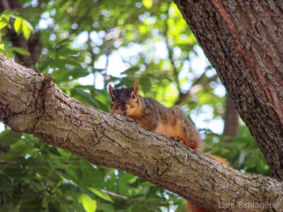 USA Reisebericht 2011 - Teil 4 35