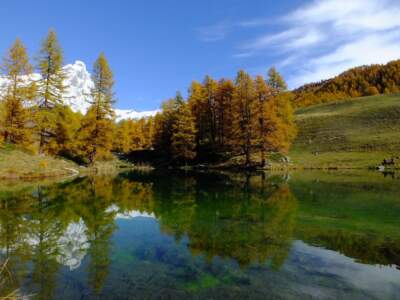 Valtournenche / Matterhorn / Monte Cervino / Mont Cervin 12