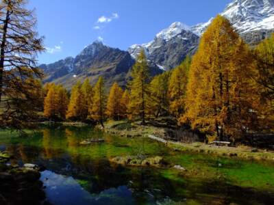 Valtournenche / Matterhorn / Monte Cervino / Mont Cervin 13