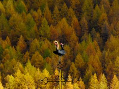 Valtournenche / Matterhorn / Monte Cervino / Mont Cervin 16