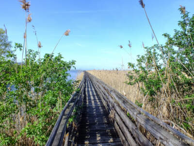 Umbrien (Italien) 2013 - Dem Winter entfliehen 47
