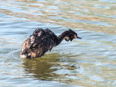 Umbrien (Italien) 2013 - Dem Winter entfliehen 48