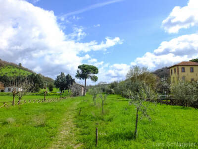 Umbrien (Italien) 2013 - Dem Winter entfliehen 52