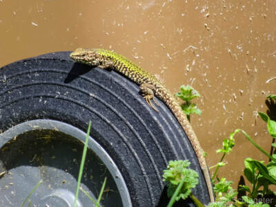 Umbrien (Italien) 2013 - Dem Winter entfliehen 59