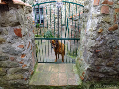 Umbrien (Italien) 2013 - Dem Winter entfliehen 69