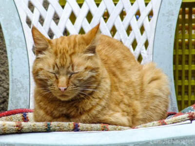 Umbrien (Italien) 2013 - Dem Winter entfliehen 71