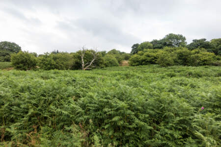 Reisebericht Minicamper England 2018 | Teil 4 27