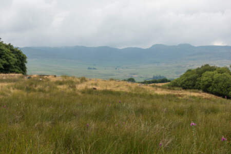 Reisebericht Minicamper England 2018 | Teil 4 28