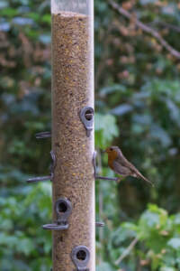 Reisebericht Minicamper England 2018 | Teil 4 31