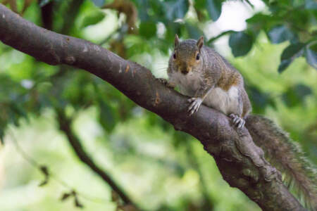 Reisebericht Minicamper England 2018 | Teil 4 33