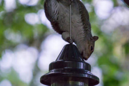 Reisebericht Minicamper England 2018 | Teil 4 34