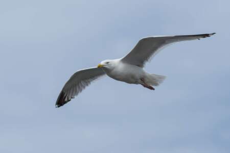 Reisebericht Minicamper England 2018 | Teil 4 53