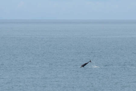 Reisebericht Minicamper England 2018 | Teil 4 55