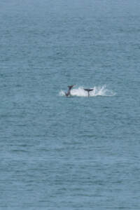 Reisebericht Minicamper England 2018 | Teil 4 57