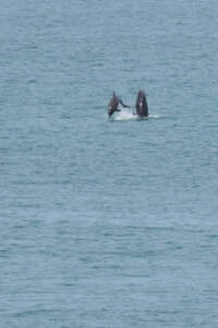 Reisebericht Minicamper England 2018 | Teil 4 56