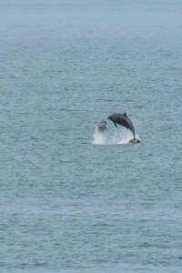 Reisebericht Minicamper England 2018 | Teil 4 59