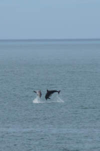 Reisebericht Minicamper England 2018 | Teil 4 60