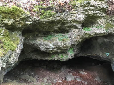Fränkische Schweiz | Auf Sackis Spuren 18