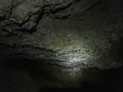 Fränkische Schweiz | Auf Sackis Spuren 23