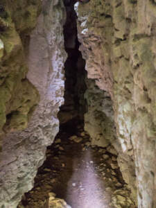 Fränkische Schweiz | Auf Sackis Spuren 25 fraenkische-schweiz-20180909-1112