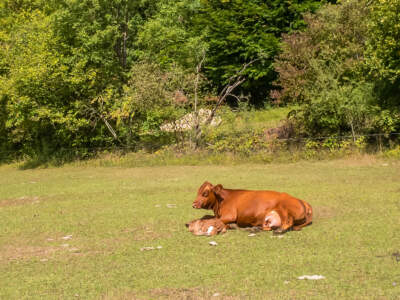 Fränkische Schweiz | Auf Sackis Spuren 28 fraenkische-schweiz-20180909-1241