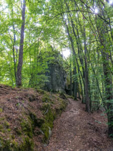 Fränkische Schweiz | Auf Sackis Spuren 30