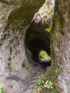 Fränkische Schweiz | Auf Sackis Spuren 37