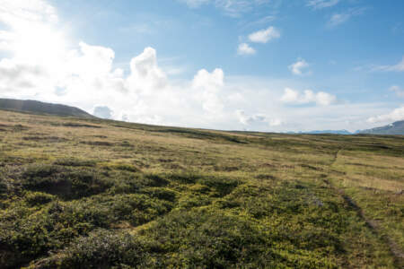 Wandern in Schweden - Reisebericht Padjelantaleden 53