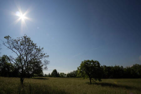 Westweg Ostvariante - Von Basel nach Titisee 31