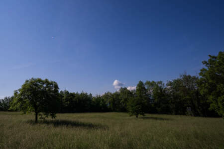 Westweg Ostvariante - Von Basel nach Titisee 32