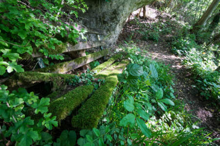 Westweg Ostvariante - Von Basel nach Titisee 34