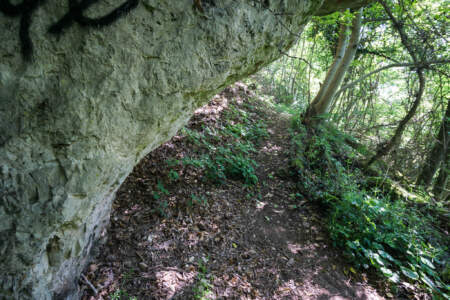 Westweg Ostvariante - Von Basel nach Titisee 35