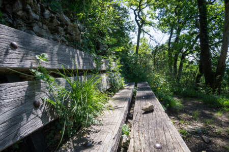 Westweg Ostvariante - Von Basel nach Titisee 37