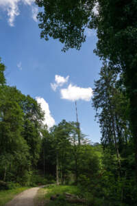 Westweg Ostvariante - Von Basel nach Titisee 38