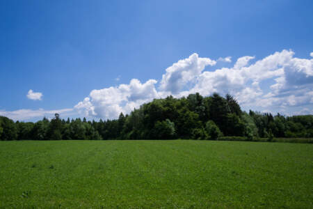 Westweg Ostvariante - Von Basel nach Titisee 39
