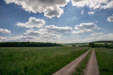 Westweg Ostvariante - Von Basel nach Titisee 46