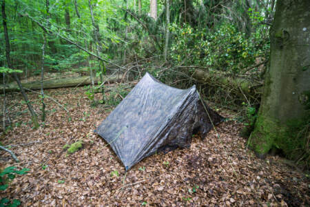 Westweg Ostvariante - Von Basel nach Titisee 48