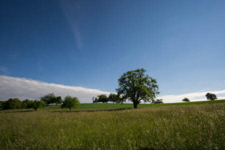 Westweg Ostvariante - Von Basel nach Titisee 50