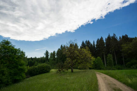 Westweg Ostvariante - Von Basel nach Titisee 55
