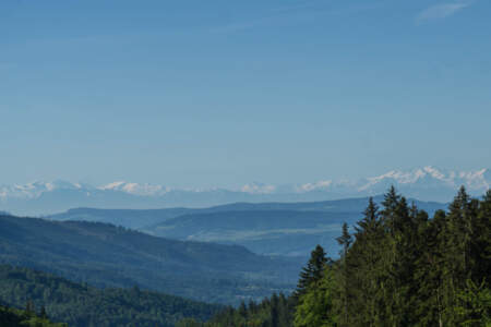Westweg Ostvariante - Von Basel nach Titisee 58