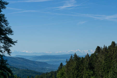 Westweg Ostvariante - Von Basel nach Titisee 59