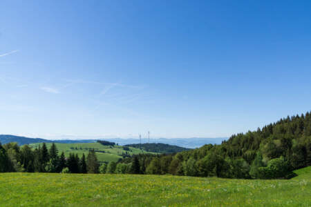 Westweg Ostvariante - Von Basel nach Titisee 65