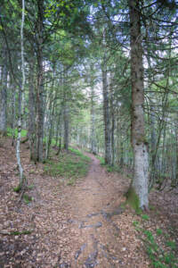 Westweg Ostvariante - Von Basel nach Titisee 67