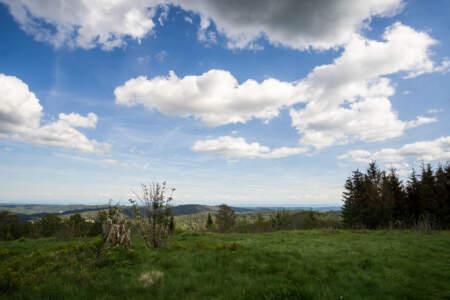 Westweg Ostvariante - Von Basel nach Titisee 71