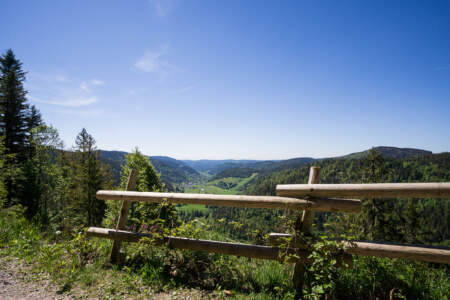 Westweg Ostvariante - Von Basel nach Titisee 73