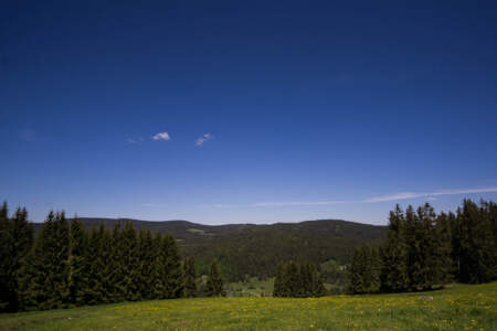 Westweg Ostvariante - Von Basel nach Titisee 74